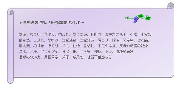 更年期障害の代表的な症状